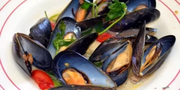 sauteed mussels 2711241 1920 scaled scaled