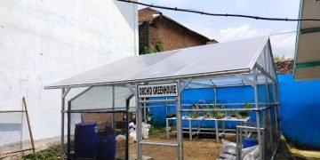 Orchid Greenhouse SMP Negeri 1 Karangploso