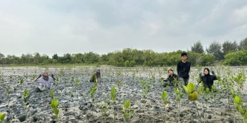 Degradasi dan Deforestrasi