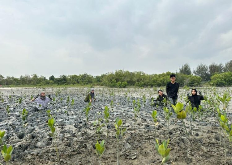 Degradasi dan Deforestrasi