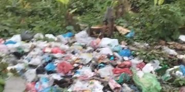 Screenshot 20241221 003646 Gallery