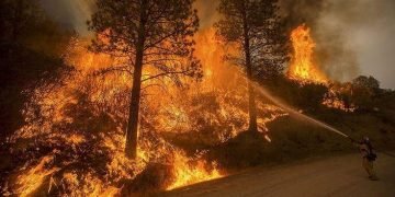 a01823e68335629d401c9eeca3a8bdb6