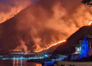 kebakaran hutan di perbukitan danau toba 169