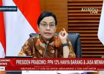 PPN Barang Mewah Naik: Solusi Tepat atau Kebijakan Setengah Hati? 57 images