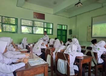 IMG 20250225 WA0226