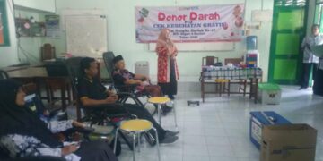 IMG 20250225 WA0228