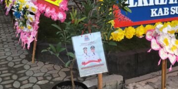 WhatsApp Image 2025 02 20 at 06.14.41