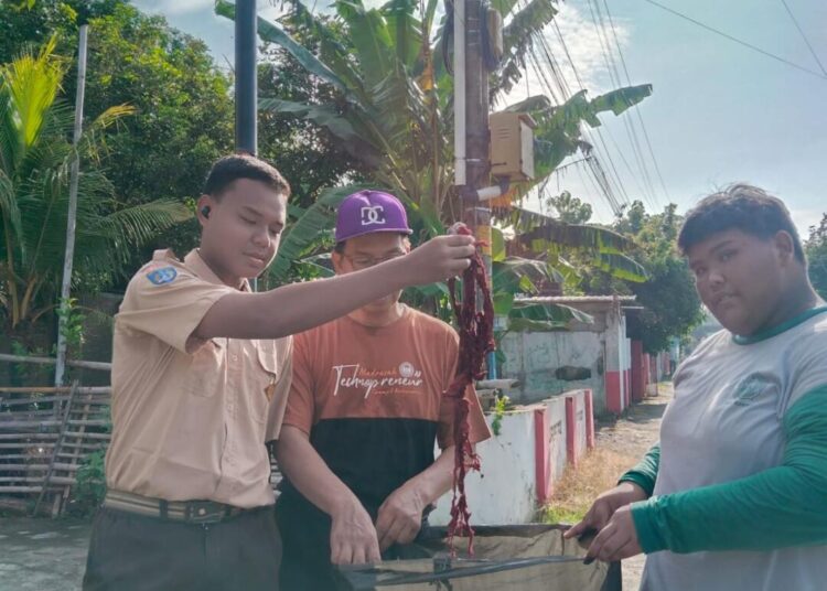 WhatsApp Image 2025 02 22 at 21.23.19