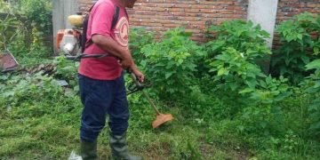 whatsapp image 2025 01 29 at 10 49 54 6799c073c925c4063f207ed3