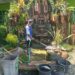 IMG 20250226 WA0043