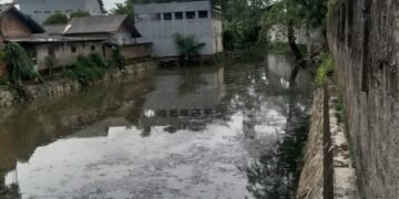 IMG 20250306 WA0021 1