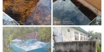 IMG 20250304 132053 1