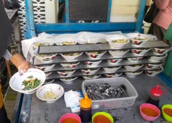 WhatsApp Image 2025 02 27 at 07.11.31