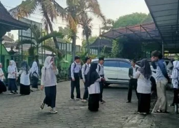 WhatsApp Image 2025 03 13 at 15.11.14 1 350x350 1