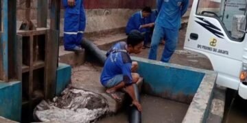 cff09f7b9ae5804ee172518019d25f81