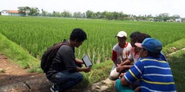 Penyuluh lapangan menjelaskan informasi kepada petani
