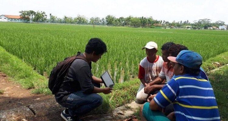 Penyuluh lapangan menjelaskan informasi kepada petani