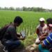 Penyuluh lapangan menjelaskan informasi kepada petani