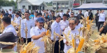 WhatsApp Image 2025 04 18 at 09.28.54