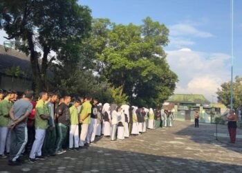 WhatsApp Image 2025 04 21 at 08.16.49