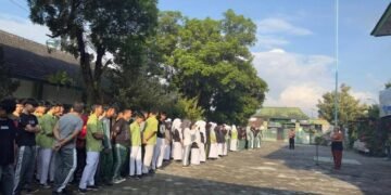 WhatsApp Image 2025 04 21 at 08.16.49