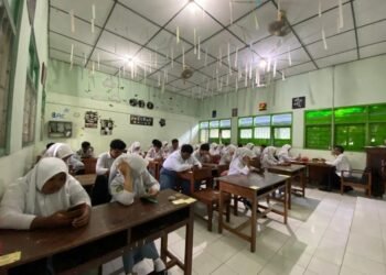 WhatsApp Image 2025 04 22 at 10.51.04