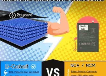 Final NCA NCM vs LCO 20241028 163924 0003