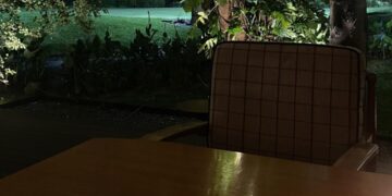 IMG 0513