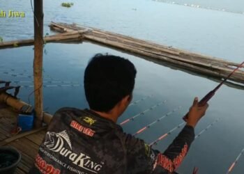 Jelajah Jiwa Ungkap Serunya Mancing di Pasir Panjang, Waduk Jatiluhur 53 Snapshot