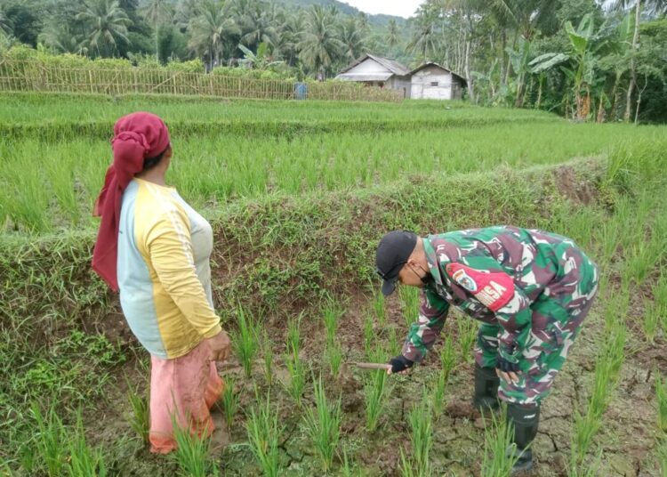 Dadang Sutisna