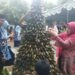 IMG 20250627 WA00891