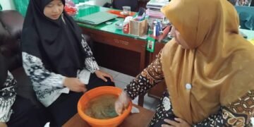 IMG 20250628 WA0002
