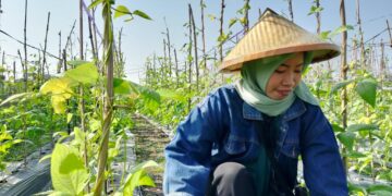 Potret Perempuan Muda Bertani
