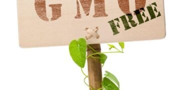 WhatsApp Image 2025 06 14 at 12.01.36 f94ec8f5