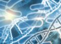 dna bacterias 1