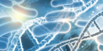 dna bacterias 1
