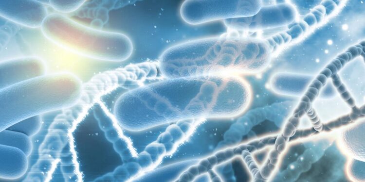 dna bacterias 1