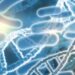 dna bacterias 1
