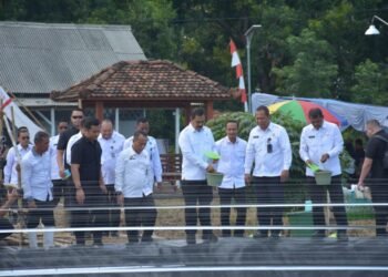 Menteri Imigrasi