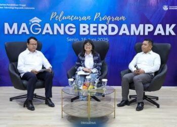 Magang