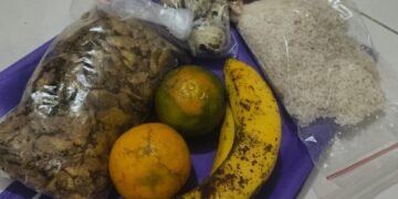 mbg di sd ciputat timur dibagikan dalam bentuk mentah isinya beras baby fish telur puyuh 18062025 183844