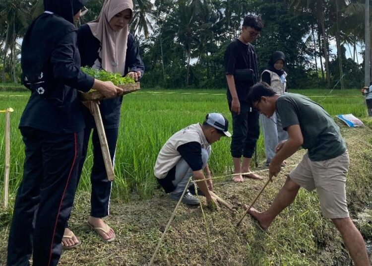 Mahasiswa sedang menanam bibit Tanaman Refugia