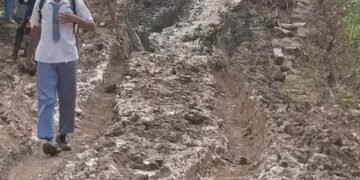 Gambar WhatsApp 2025 07 11 pukul 05.18.39 d2915733