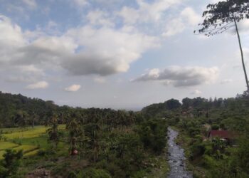 IMG 20241026 WA0182