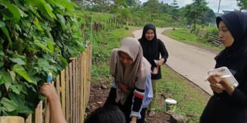 IMG 20250715 WA0057