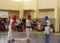 Wushu