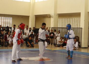 Wushu