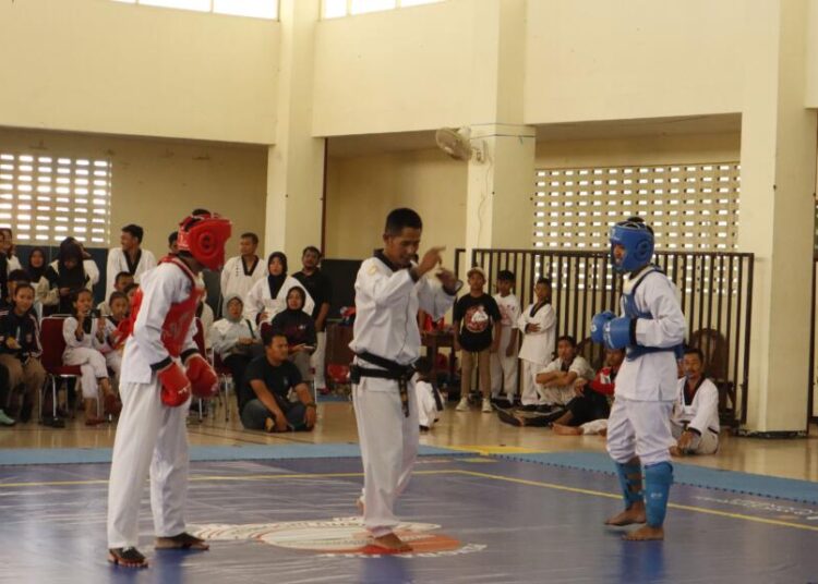 Wushu