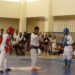 Wushu