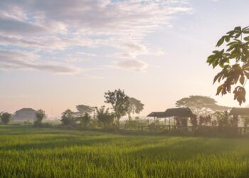 suasana pagi hari di mbulak wilkel